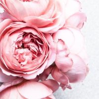 0484c460a2fd8b97b26a5c6f2b88db04